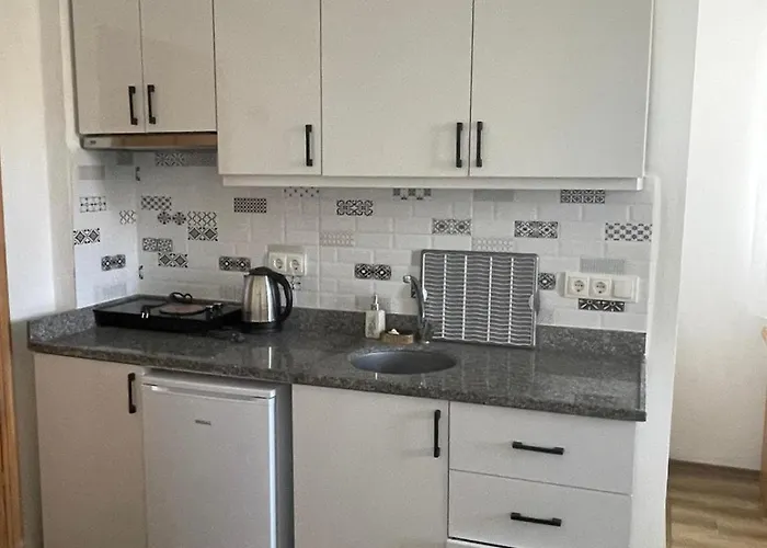 图加伊酒店 费特希耶