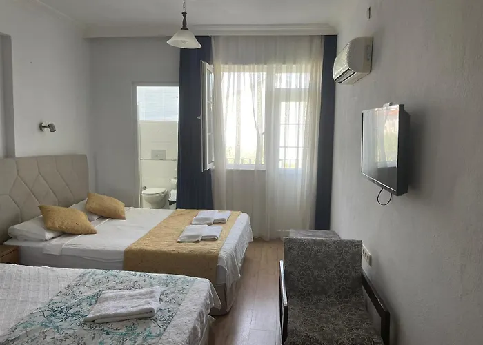 图加伊酒店 2* 费特希耶