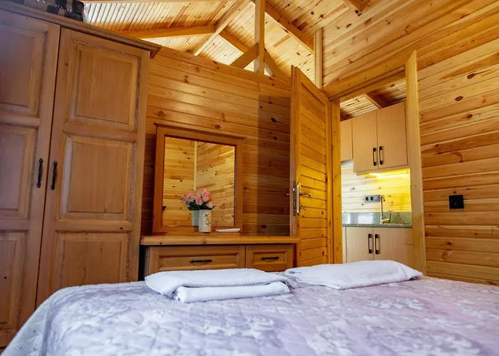 酒店 图加伊酒店 费特希耶