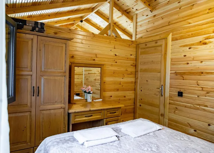 图加伊酒店 费特希耶