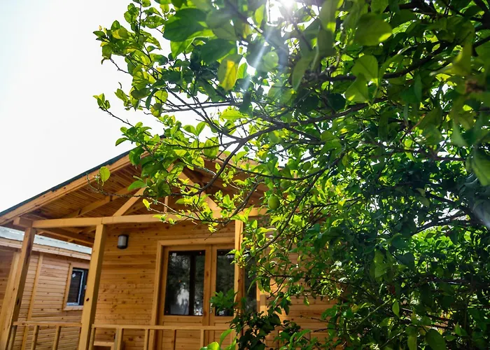 图加伊酒店 2* 费特希耶