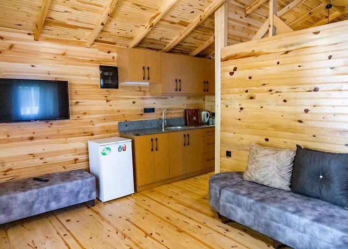 酒店 图加伊酒店 费特希耶