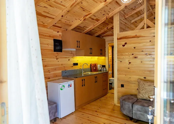 图加伊酒店 2* 费特希耶