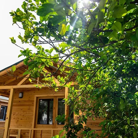 Tugay 2* Φετιγιέ